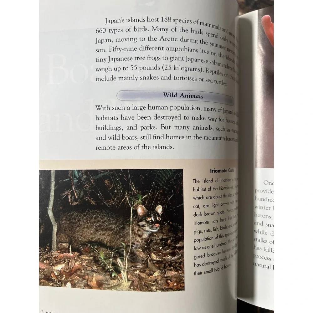 Japan Enchantment of the World Second Series‎ Barbara Somervill Scholastic Book